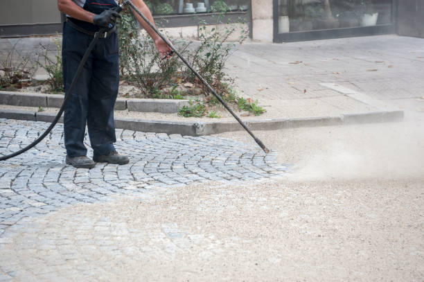 Best Gutter Cleaning  in Eming Island, FL